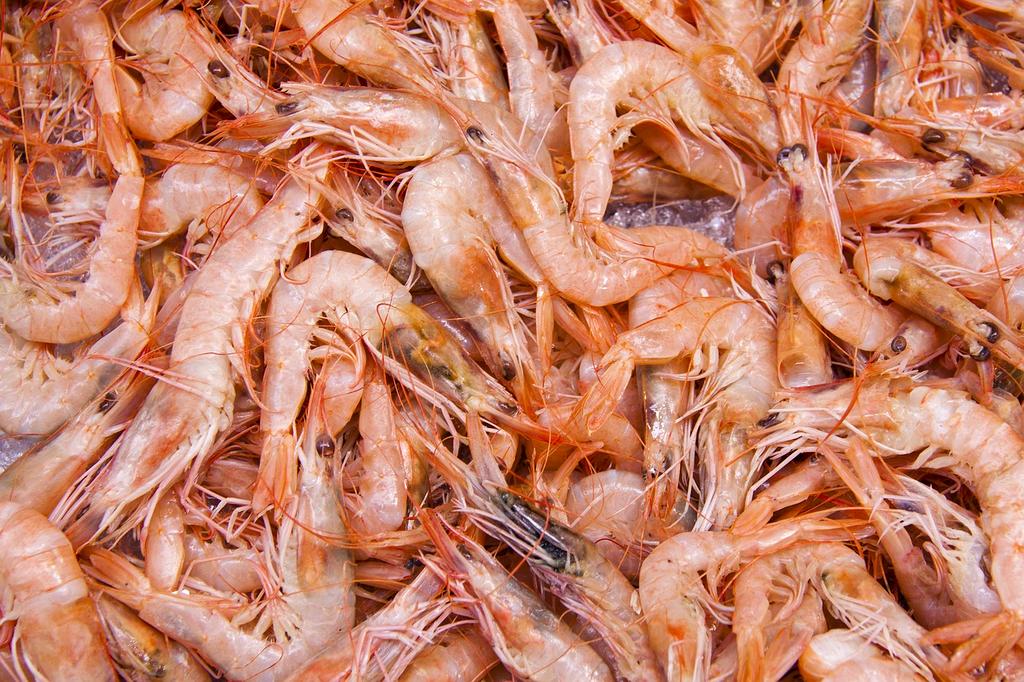 Biometric sensors monitoring learning engagement through eye tracking and neural feedback