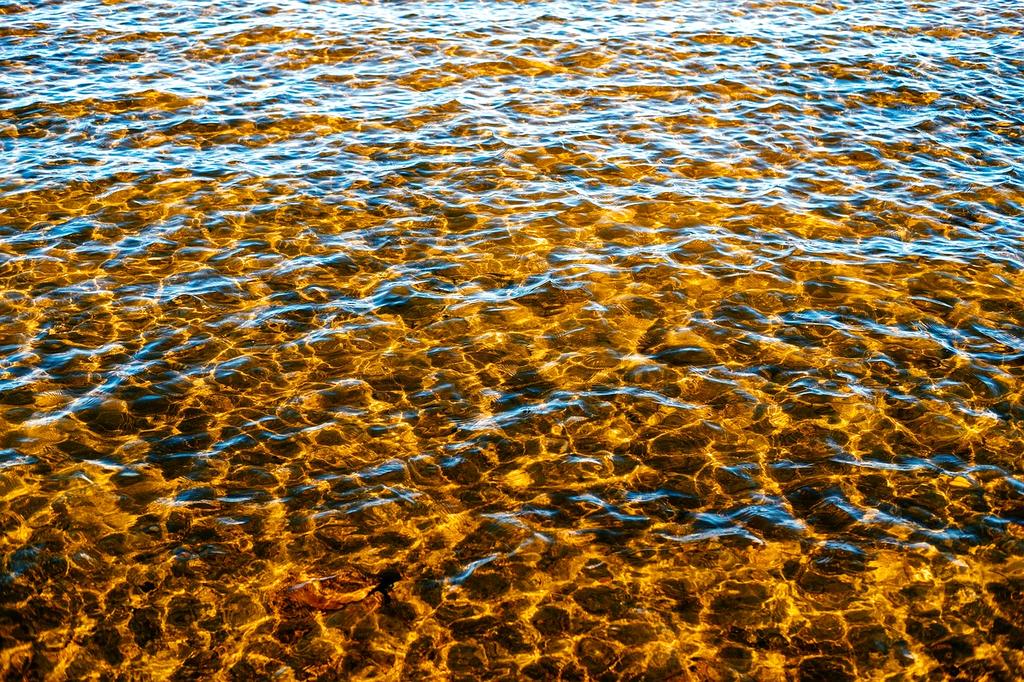 Course icon representing Coding and Programming Foundations