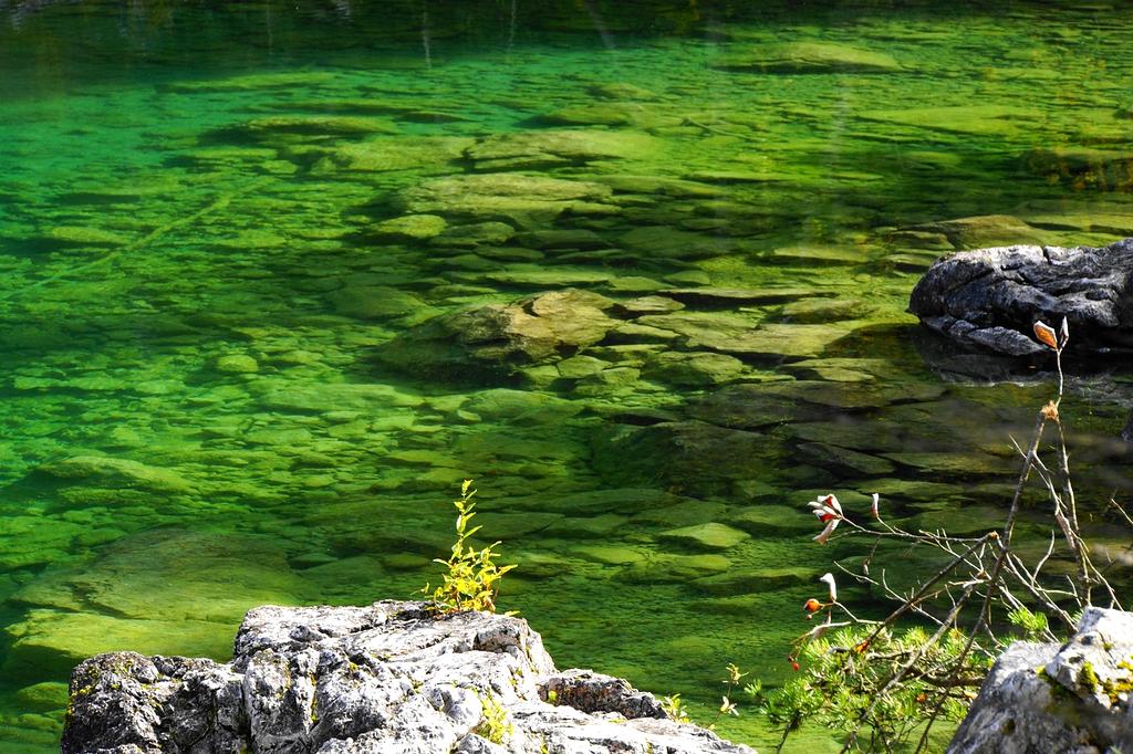 Course icon representing Basics in Computer Literacy