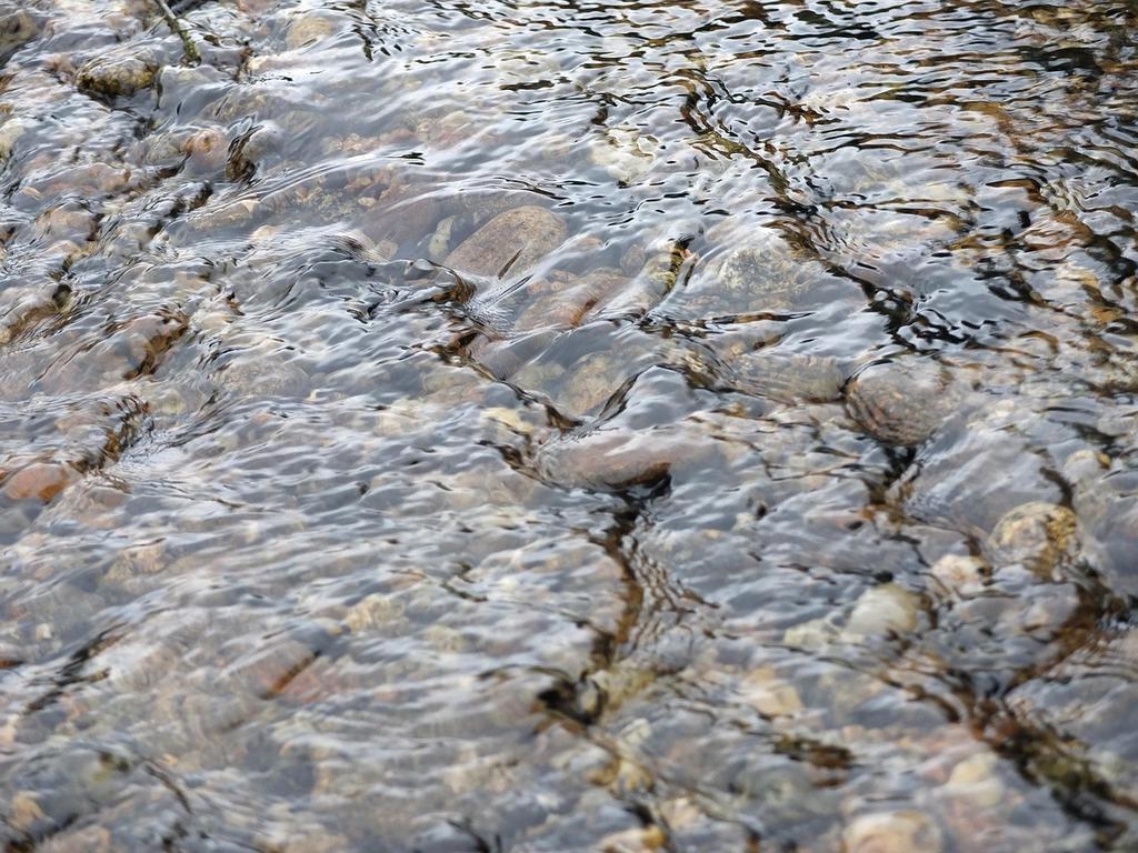 AI mentor interface showing personalized feedback and learning progress analytics